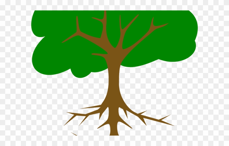 Roots Clipart Absorption - Png Download