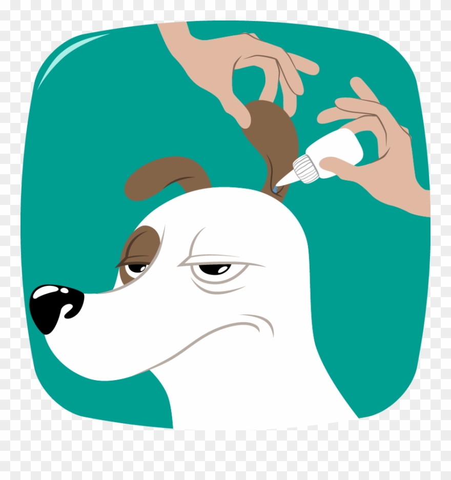 Nettoyer Oreille Chien Bien Être Clipart