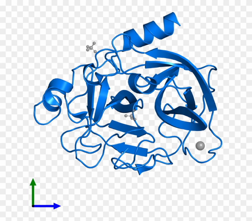 <div Class='caption-body'>pdb Entry 3mu8 Contains 1 Clipart