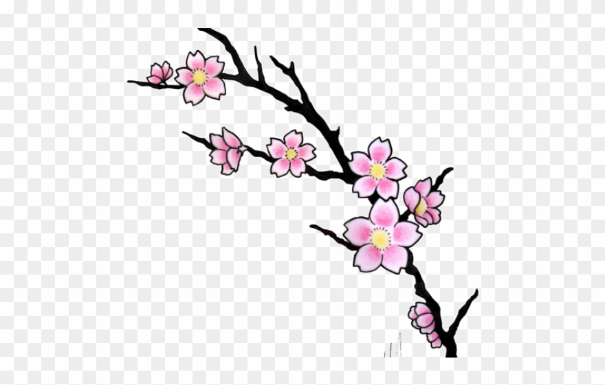 Cherry Blossom Clipart Bird - Png Download