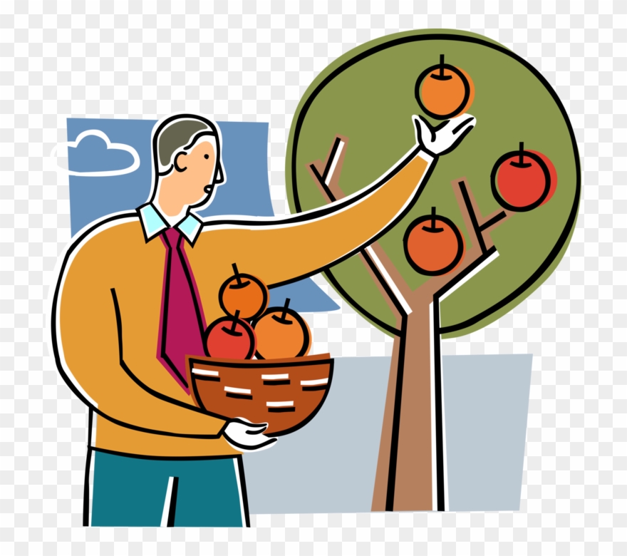 Vector Illustration Of Businessman Picks Ripe Fruit Clipart