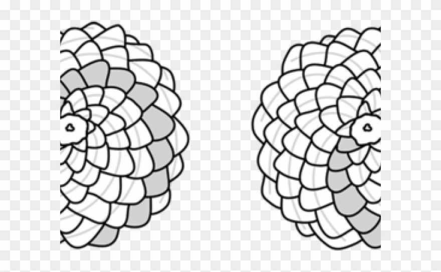 Drawn Pine Cone Black And White Clipart