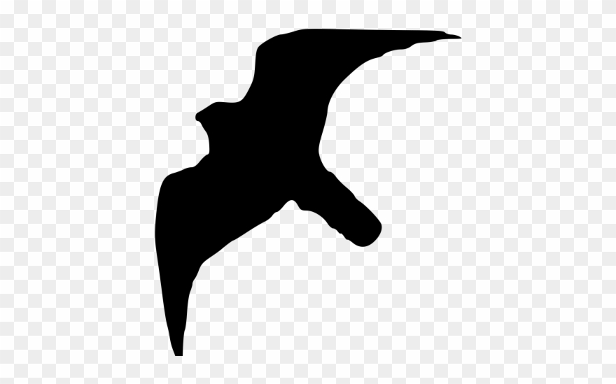 Peregrine Falcon Clipart Svg - Png Download