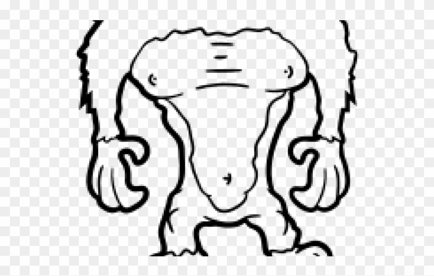 Body Clipart Gorilla - Png Download