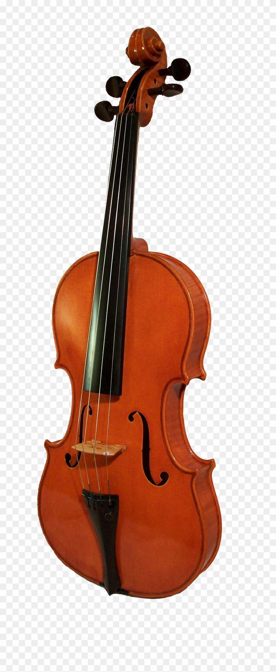 Violin Png Transparent Images Clipart