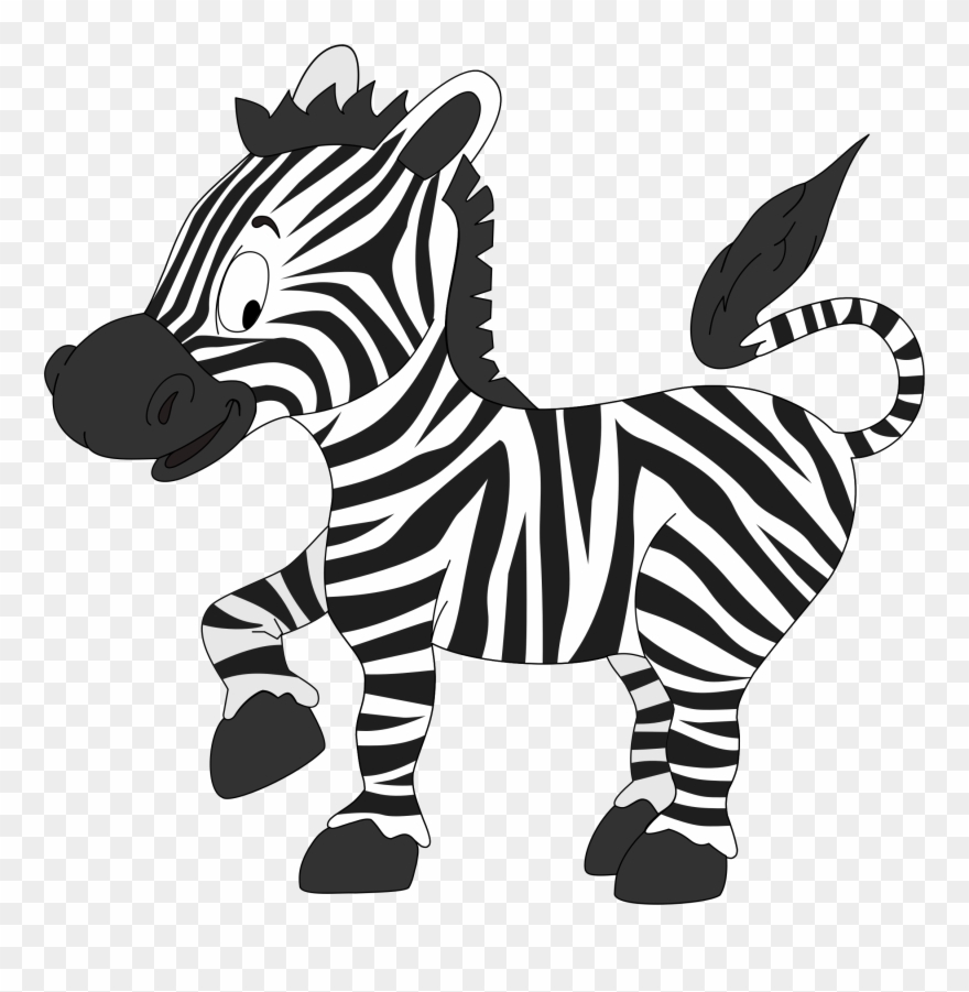Zebra Clipart
