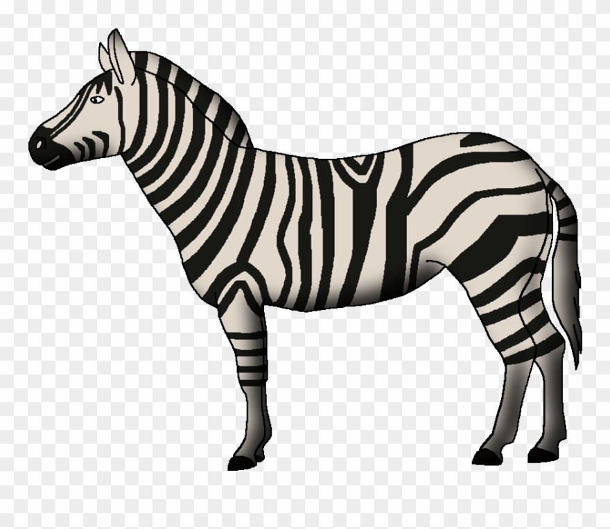 Grant's Zebra Clipart