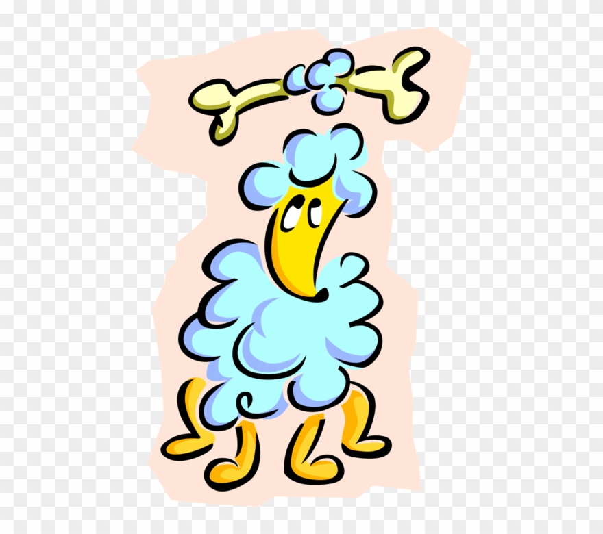 Vector Illustration Of French Poodle Bone With Bone Clipart