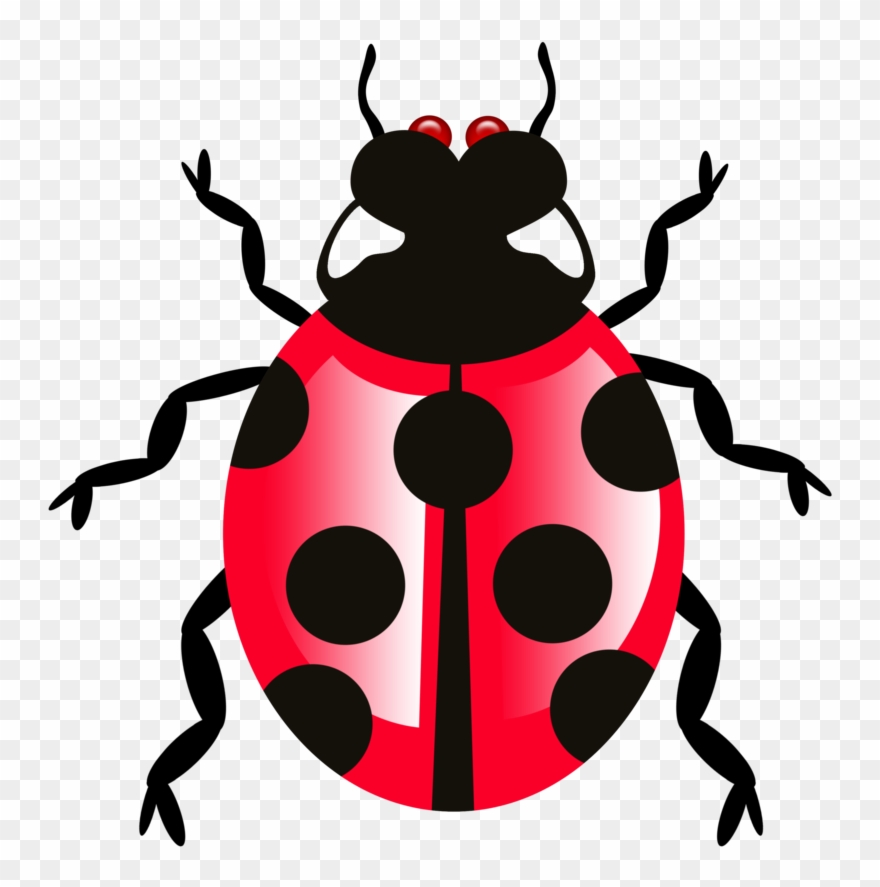 Bug Icon Transparent Png Clipart