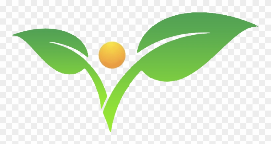 Käfer Clipart - Png Download