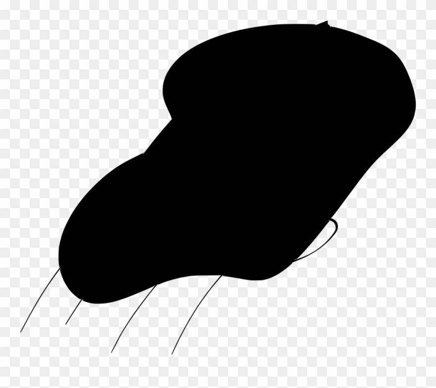 Info Clipart
