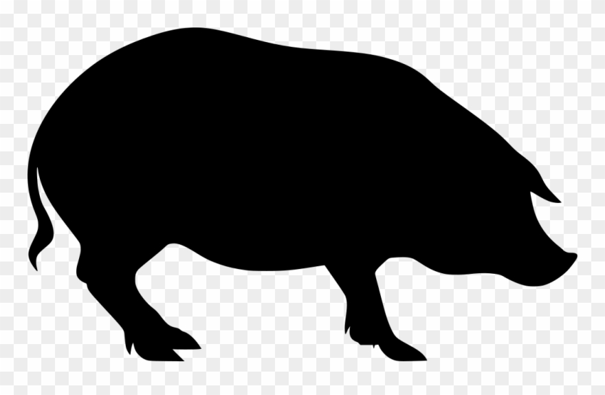 Info Clipart