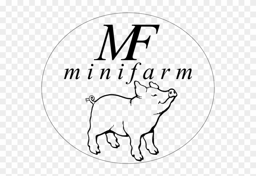 Чашечная Поилка Для Подсосных Поросят, Цена 250 Грн Clipart