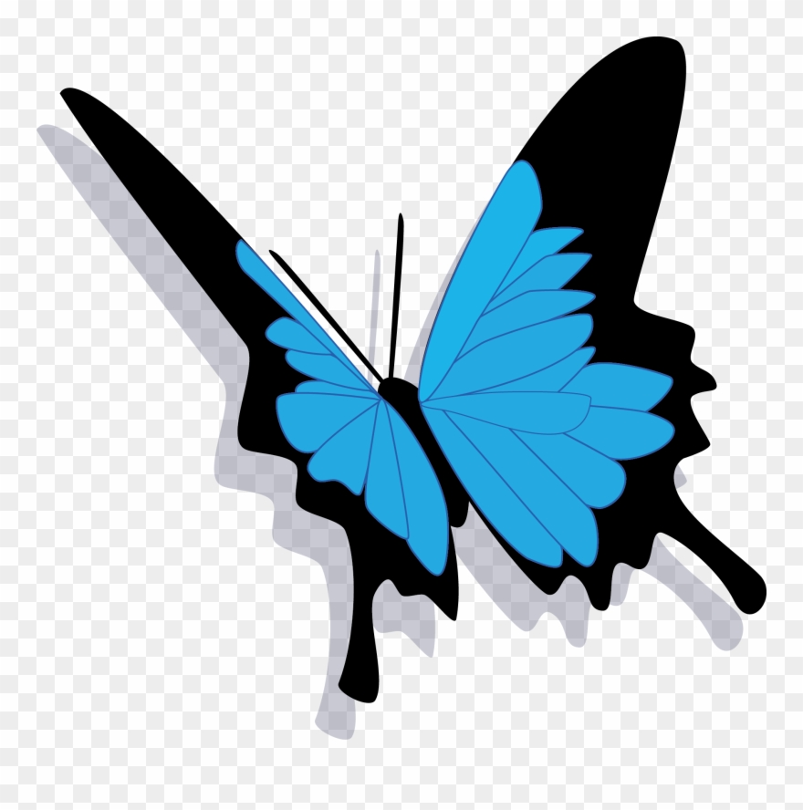 Butterfly Copy Clipart
