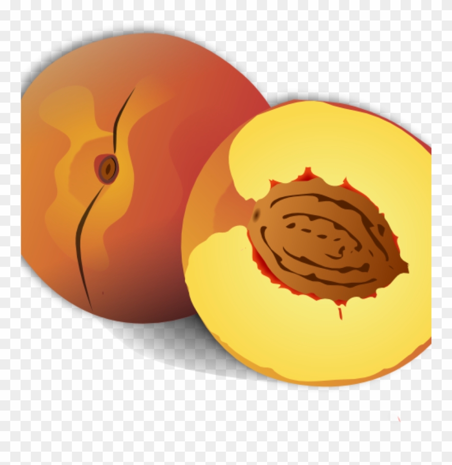 Peach Clipart Clip Art At Clker Vector Online Royalty - Custom Peach Shower Curtain - Png Download