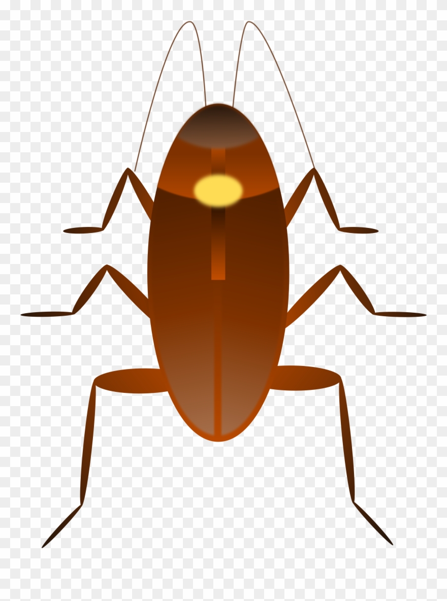 Cockroach Clip Art - Barata Desenho Png Transparent Png