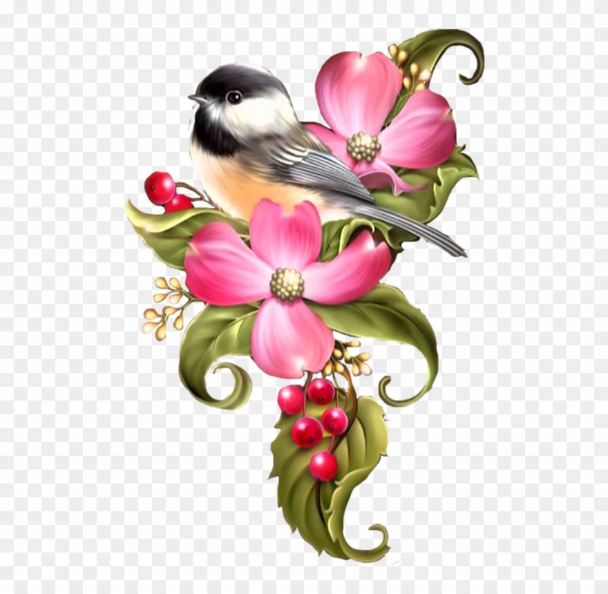 Bird Drawings, Bird Cages, Views Album, Clip Art, Scrapbook, - Whitelotous 5d Diy Flower And Bird Diamond Painting - Png Download