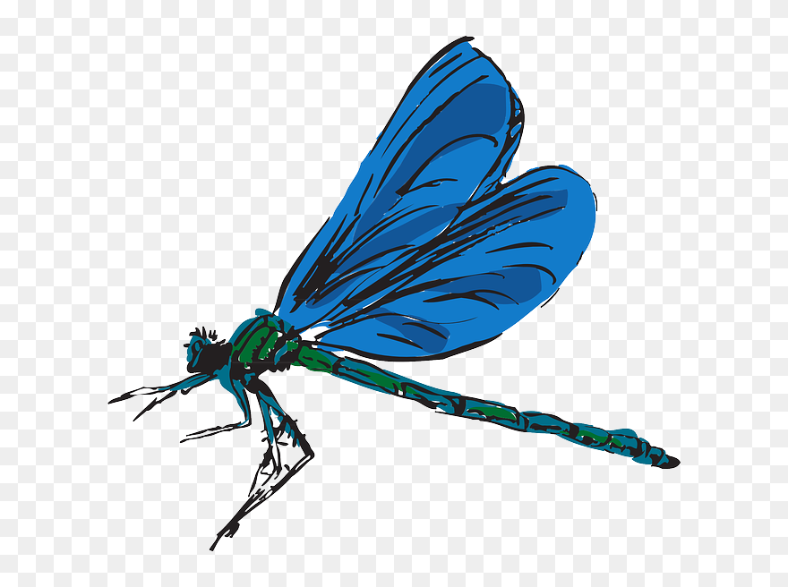 Dragonfly Art Clip Art - Dragonfly Clipart Png Transparent Png