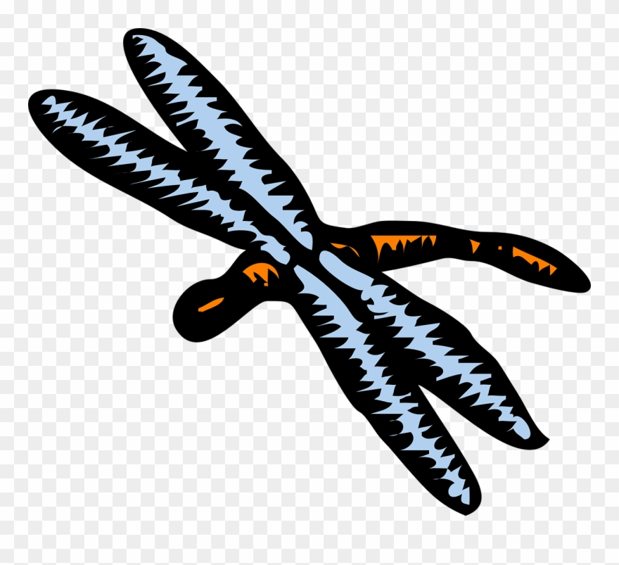 Download Dragonfly Clipart - Set Of 4 Dragonfly 1 25 Magnets Dragonflies Good Luck - Png Download