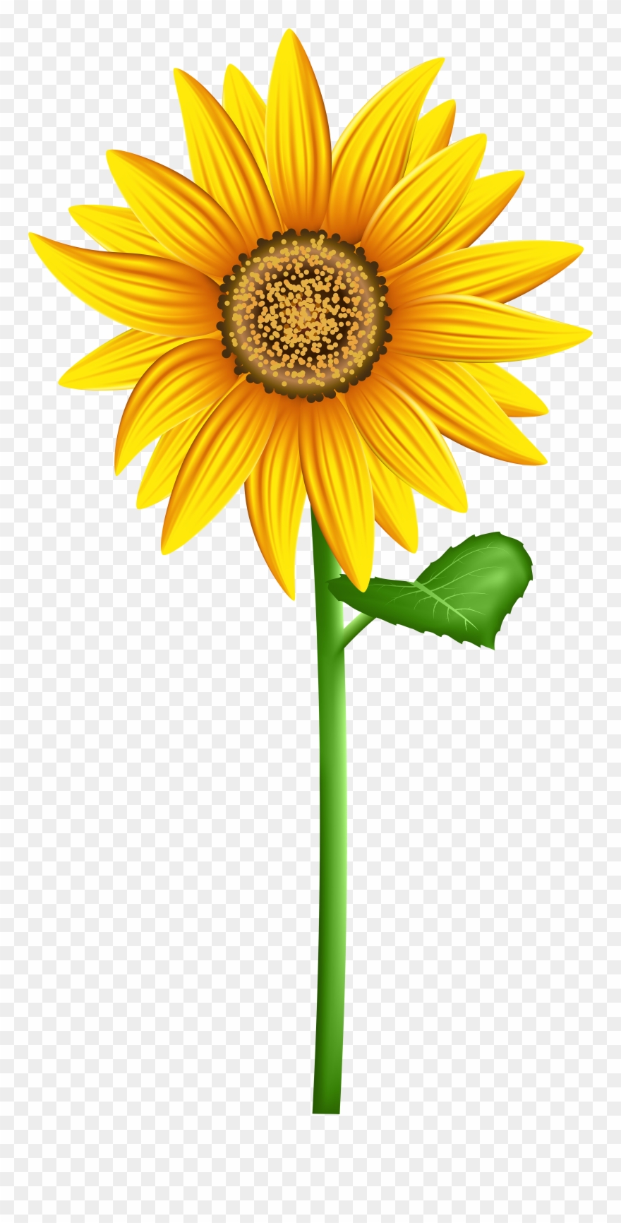 Transparent Background Sunflower Clipart - Png Download