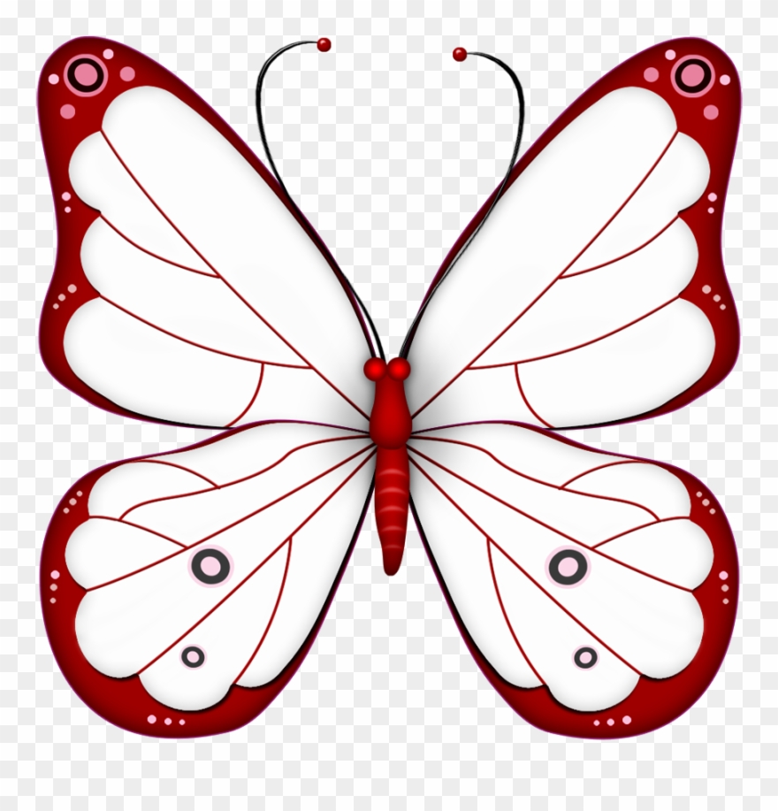 Imagen - Transparent Background Butterfly Clipart - Png Download