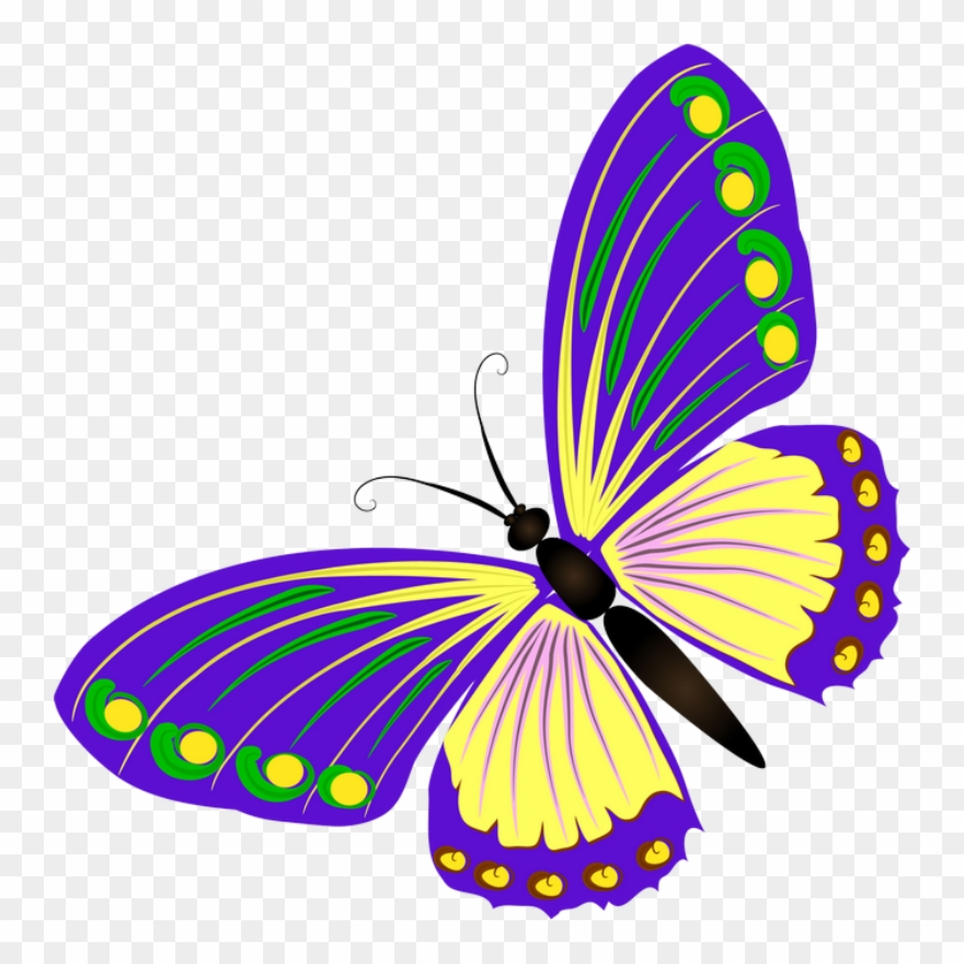 ‿✿⁀butterflies‿✿⁀ Butterfly Clip Art, Watercolor Cards, - Бабочки Картинки Без Фона - Png Download