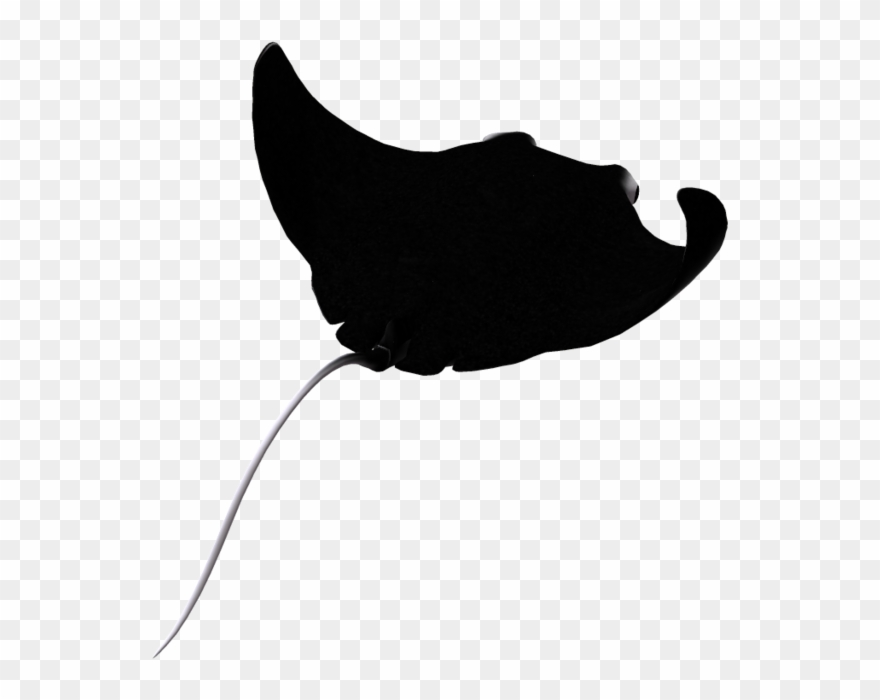 Manta Ray 05 By Wolverine041269 - Manta Ray Silhouette Clipart