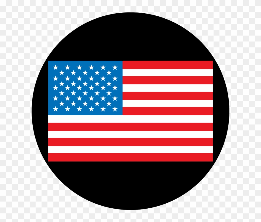 American Flag Clipart Flat - Chris Brown State Of The Union - Png Download