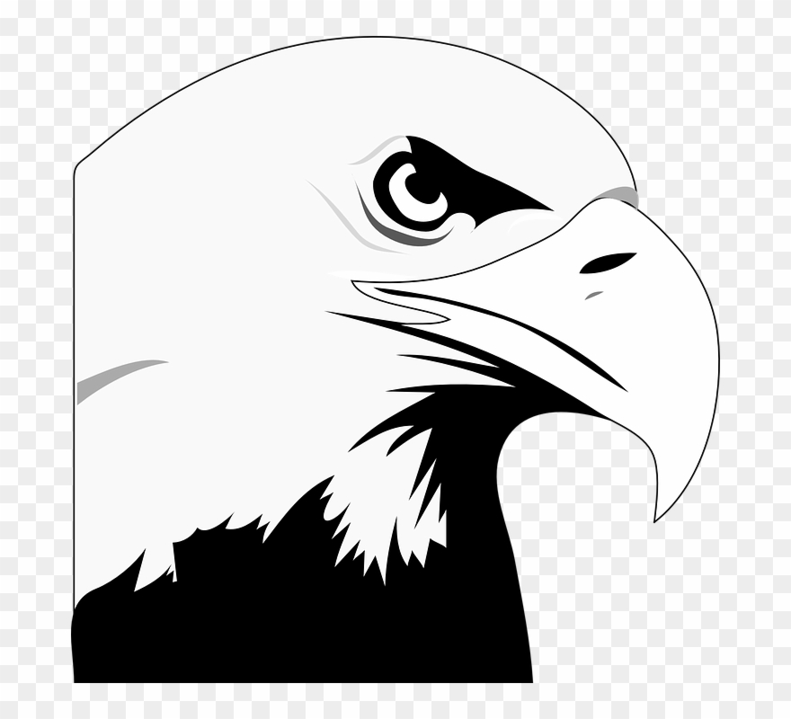 Animated Eagle - Clipart Library - Bald Eagle Black And White Clipart - Png Download