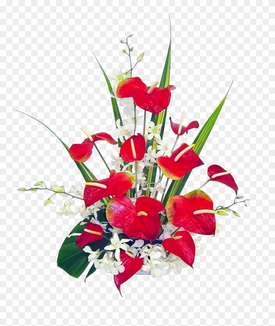 Hawaiian Flowers Clipart Free Download - Auguri Di Buon Onomastico Antonino - Png Download