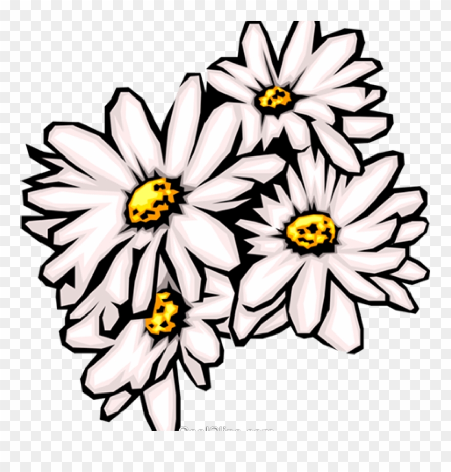 Daisies Clip Art Daisies Clipart Daisies Royalty Free - Daisy Clip Art - Png Download
