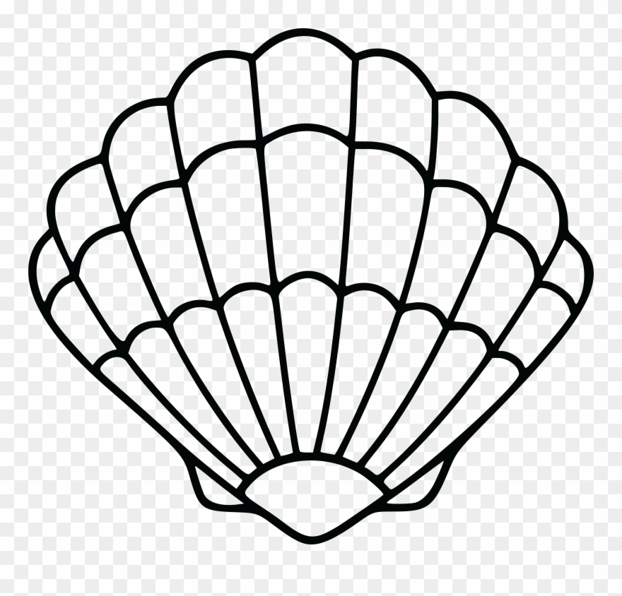 1901 Free Clipart Of A Scallop Sea Shell Clip Art - Sea Shell Clip Art - Png Download