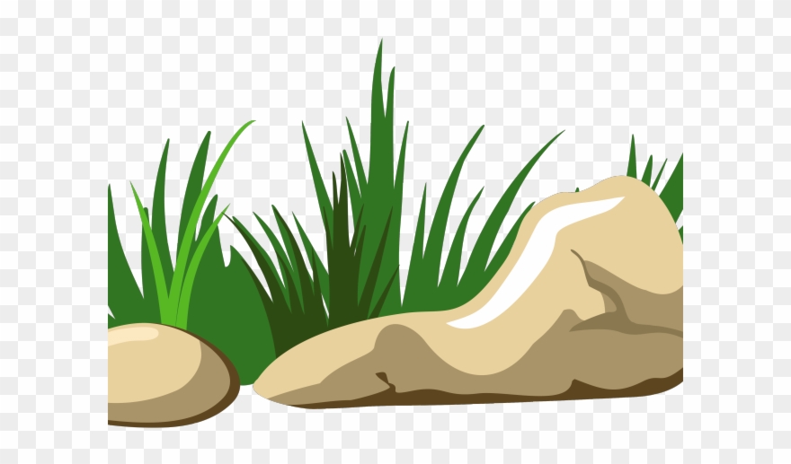 Original - Grass Clipart Png Transparent Png