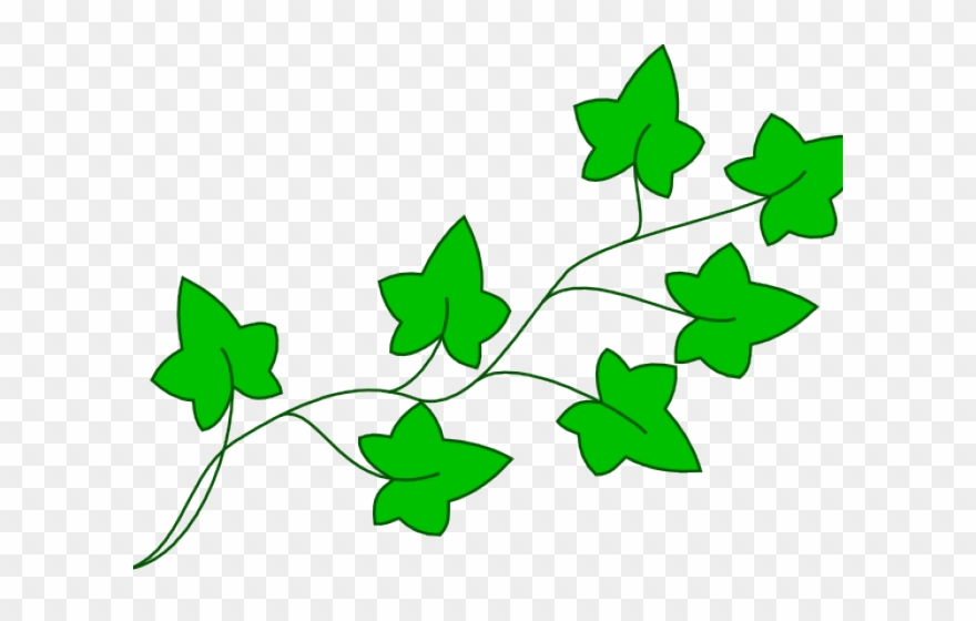 Drawn Jungle Free Clip Art - Cartoon Poison Ivy Leaves - Png Download