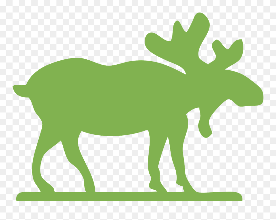 Moose Clipart Green - Moose Clipart - Png Download