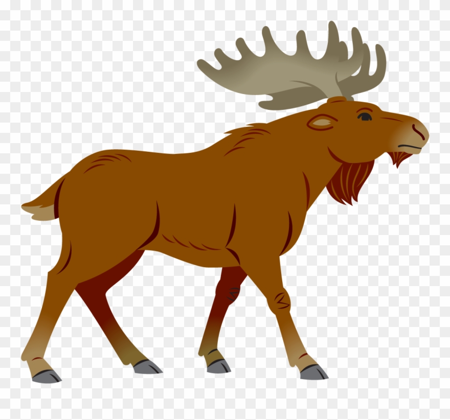 Moose Clipart Simple Cartoon - Simple Moose Cartoon - Png Download