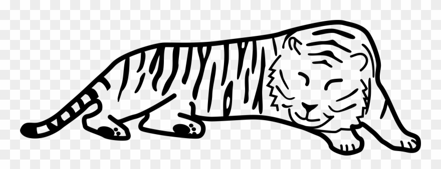 Tiger Black And White Sleeping Tiger Clipart Clipartfest - Cartoon Black And White Tiger - Png Download