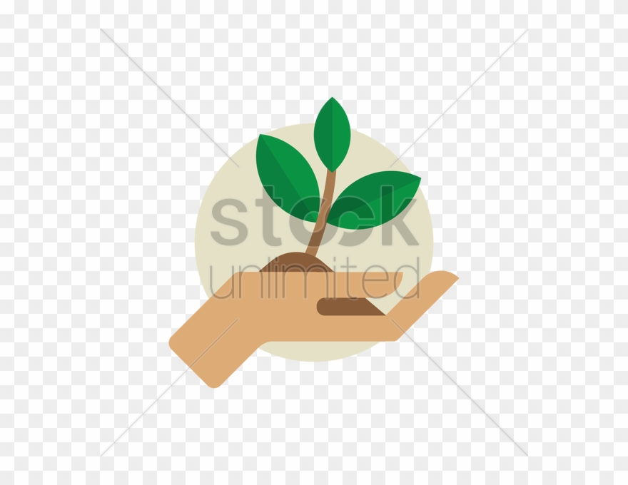 Hands Holding Plant Clipart Plants Clip Art - Plant In Hand Clip Art - Png Download