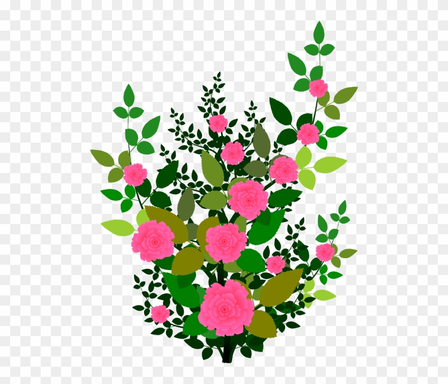 Clipart Rose Plant Clipartfest - Clip Art Bunga Png Transparent Png
