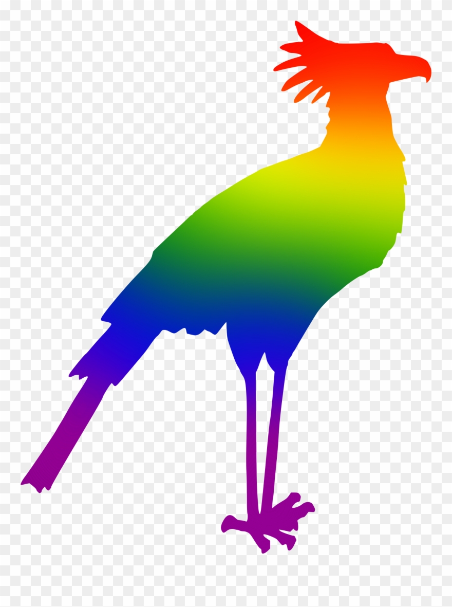 Clipart Secretary Colours Big - Secretary Bird Silhouette - Png Download
