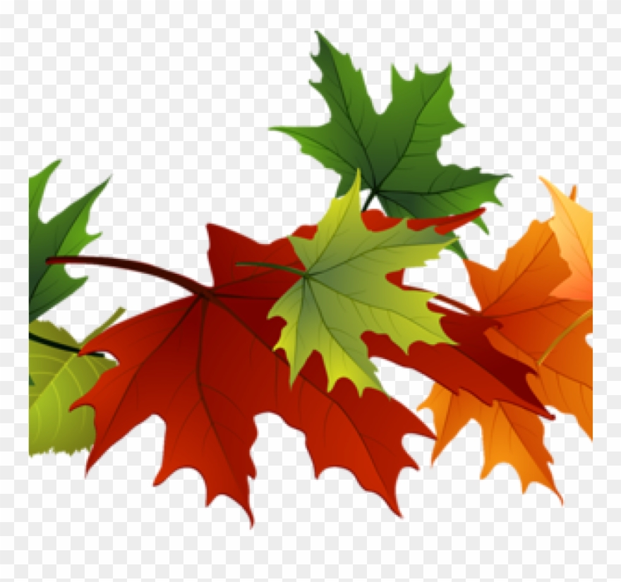 Fall Leaves Images Clip Art Free Leaf Clipart At Getdrawings - Fall Color Leaves Clipart - Png Download