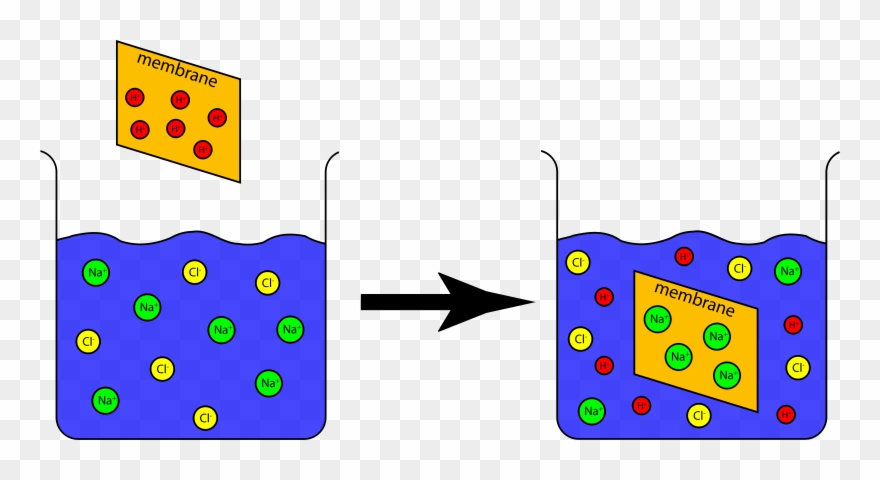 Clip Arts Related To - Experiment - Png Download