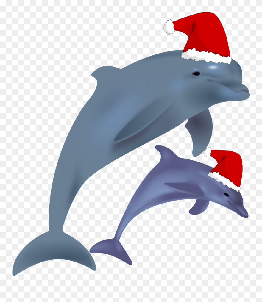 Common Bottlenose Dolphin Jumping Clip Art Christmas - Christmas Dolphin - Png Download