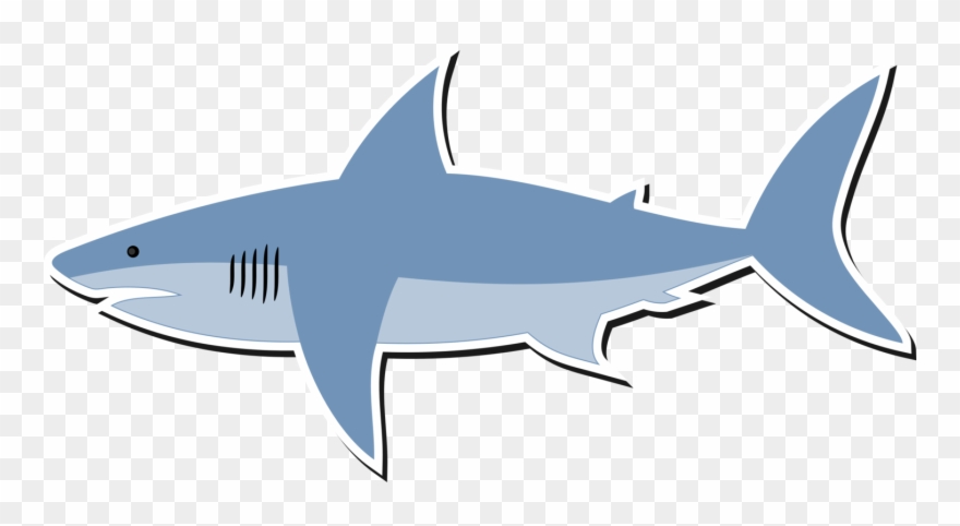 Great White Shark Bull Shark Shark Finning Lemon Shark - Cartoon Image Of Shark Clipart