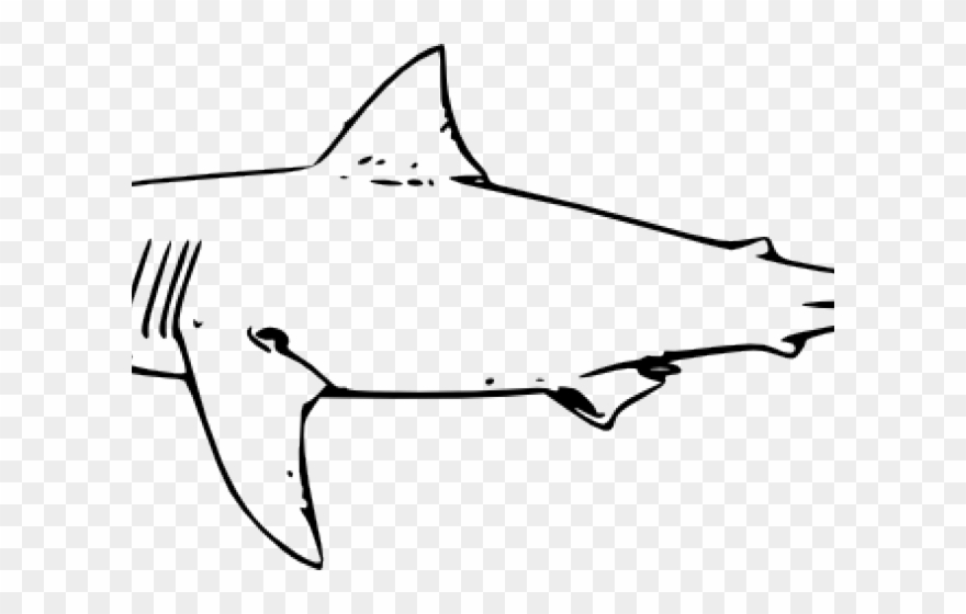 Bull Shark Clipart Simple - Great White Shark Line Art - Png Download
