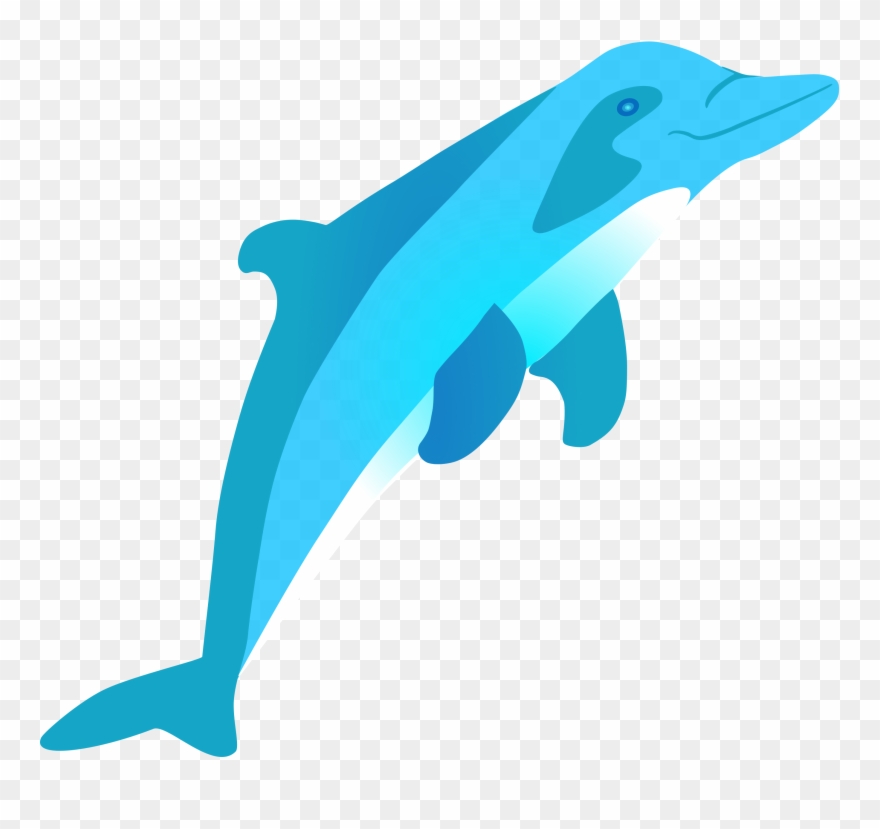 Spinner Dolphin Clipart Water Clipart - Png Dolophin Transparent Png