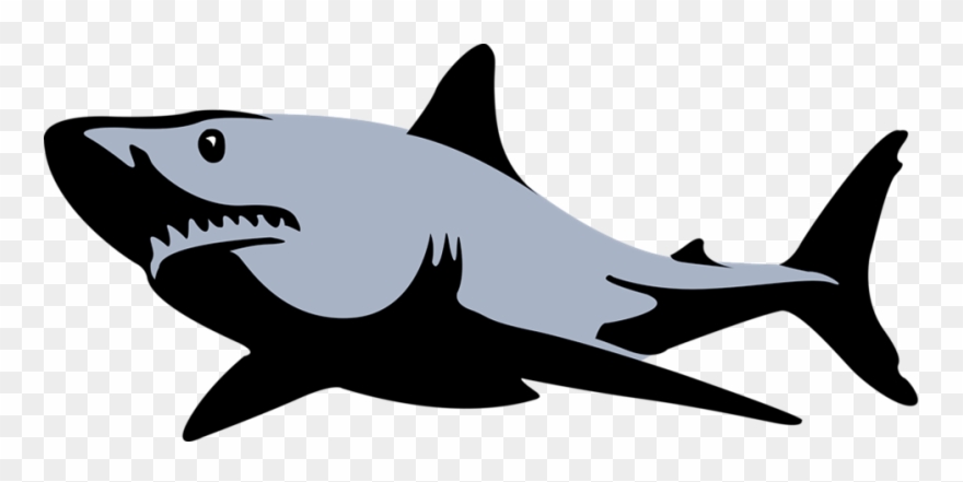 Shark Fin Free Shark Pictures Download Clip Art On - Shark Clipart Black And White - Png Download