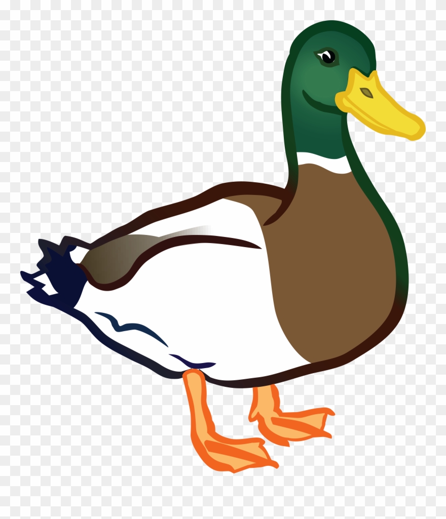 Ducks Clipart - Clip Art Duck Png Transparent Png