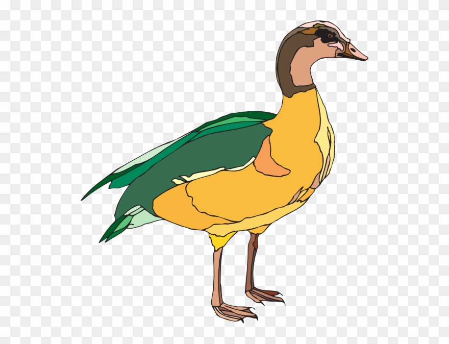 And Green Duck Clipart