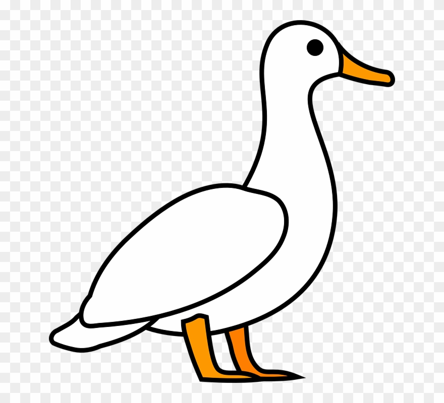 Duck Clip Art - White Duck Clipart - Png Download